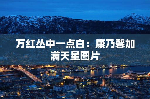 万红丛中一点白：康乃馨加满天星图片