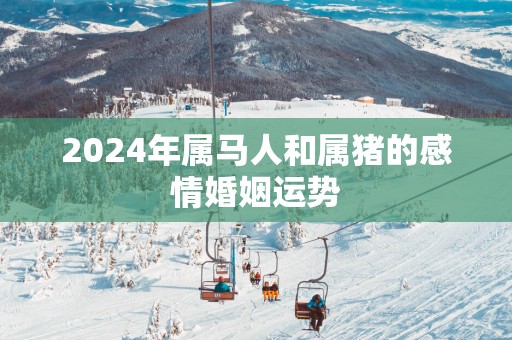 2025年属马人和属猪的感情婚姻运势