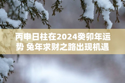丙申日柱在2025癸卯年运势 蛇年求财之路出现机遇