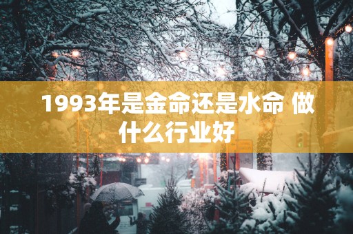 1993年是金命还是水命 做什么行业好