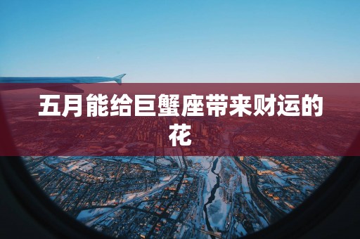 五月能给巨蟹座带来财运的花