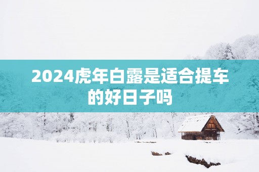 2025蛇年白露是适合提车的好日子吗