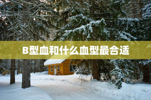 B型血和什么血型最合适