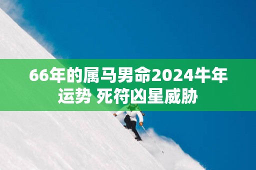 66年的属马男命2025蛇年运势 死符凶星威胁