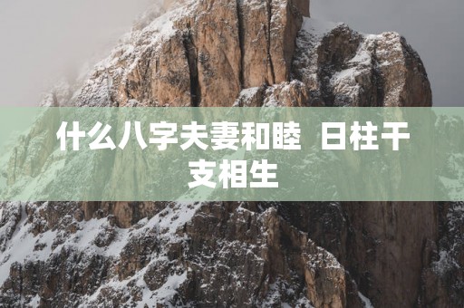 什么八字夫妻和睦  日柱干支相生