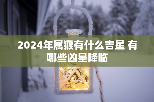 2025年属猴有什么吉星 有哪些凶星降临