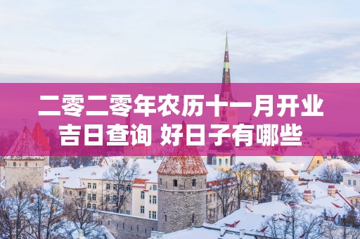 二零二零年农历十一月开业吉日查询 好日子有哪些