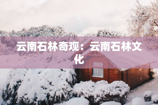 云南石林奇观：云南石林文化