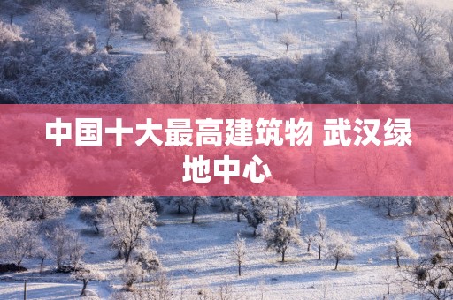 中国十大最高建筑物 武汉绿地中心