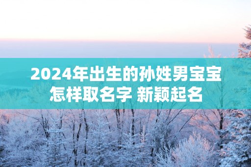 2025年出生的孙姓男宝宝怎样取名字 新颖起名
