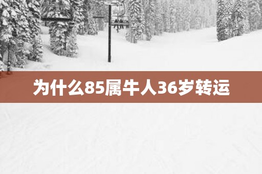 为什么85属牛人36岁转运