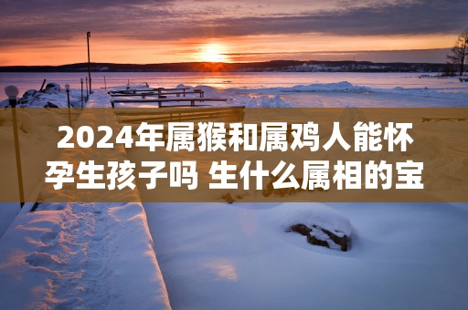 2025年属猴和属鸡人能怀孕生孩子吗 生什么属相的宝宝好