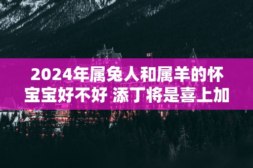 2025年属兔人和属羊的怀宝宝好不好 添丁将是喜上加喜