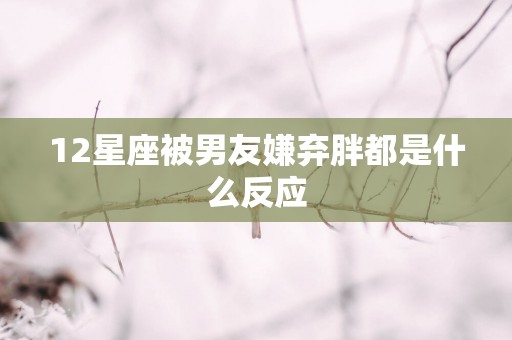 12星座被男友嫌弃胖都是什么反应