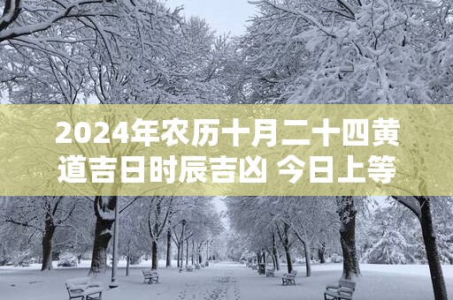 2025年农历十月二十四黄道吉日时辰吉凶 今日上等好时辰查询