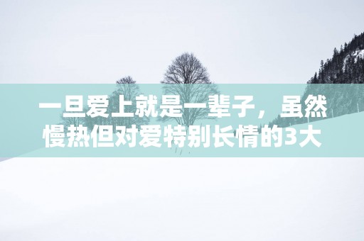 一旦爱上就是一辈子，虽然慢热但对爱特别长情的3大星座！