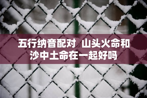 五行纳音配对  山头火命和沙中土命在一起好吗