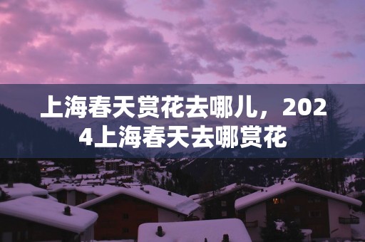 上海春天赏花去哪儿，2025上海春天去哪赏花