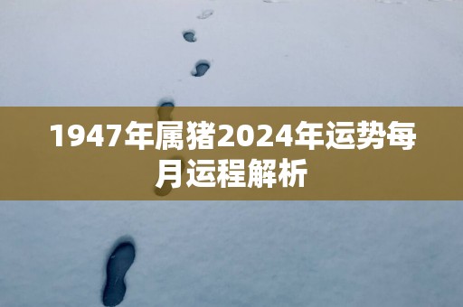 1947年属猪2025年运势每月运程解析