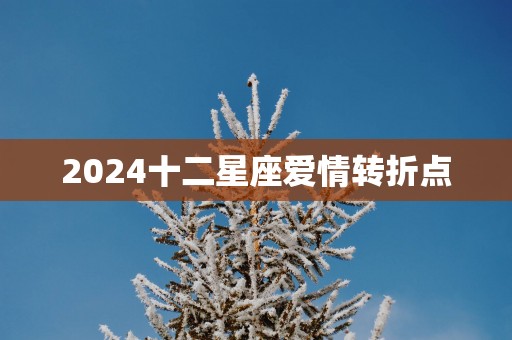 2025十二星座爱情转折点