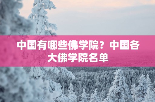 中国有哪些佛学院？中国各大佛学院名单