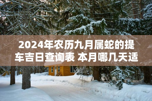 2025年农历九月属蛇的提车吉日查询表 本月哪几天适合买车上牌