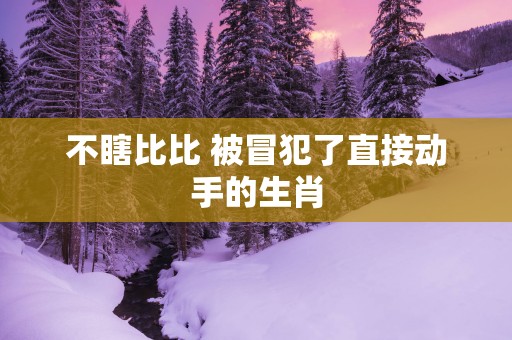 不瞎比比 被冒犯了直接动手的生肖