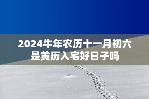 2025蛇年农历十一月初六是黄历入宅好日子吗