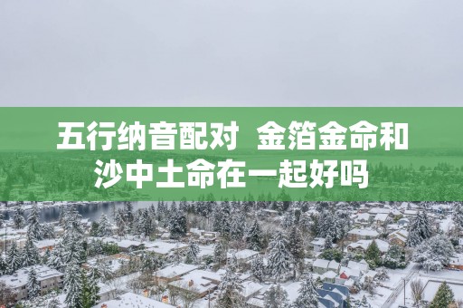 五行纳音配对  金箔金命和沙中土命在一起好吗