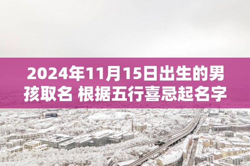 2025年11月15日出生的男孩取名 根据五行喜忌起名字