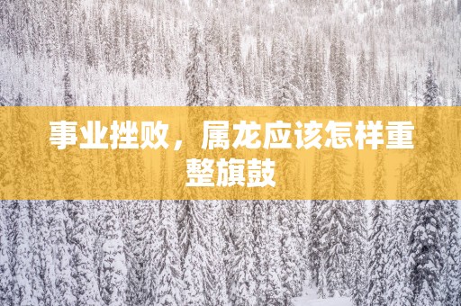 事业挫败，属龙应该怎样重整旗鼓