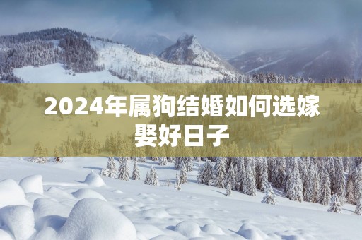 2025年属狗结婚如何选嫁娶好日子