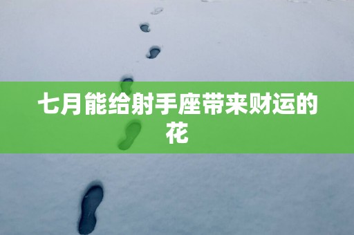 七月能给射手座带来财运的花