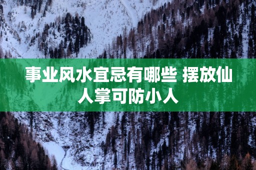 事业风水宜忌有哪些 摆放仙人掌可防小人