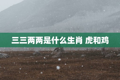 三三两两是什么生肖 虎和鸡