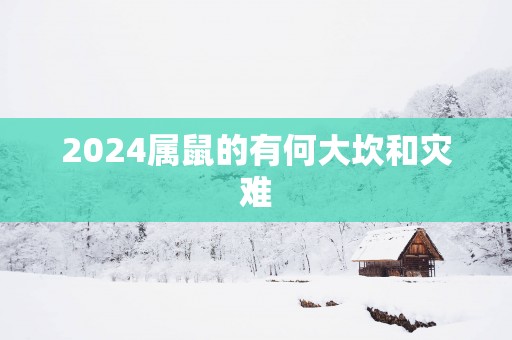 2025属鼠的有何大坎和灾难