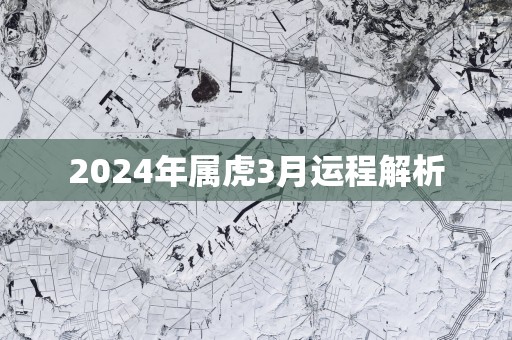 2025年属虎3月运程解析