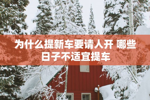 为什么提新车要请人开 哪些日子不适宜提车