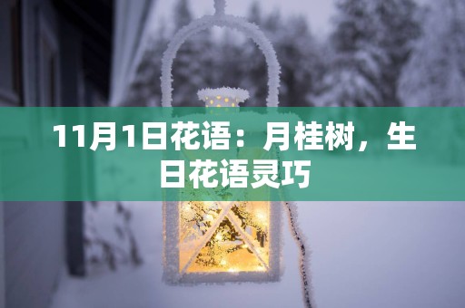 11月1日花语：月桂树，生日花语灵巧
