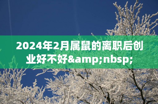 2025年2月属鼠的离职后创业好不好&nbsp;