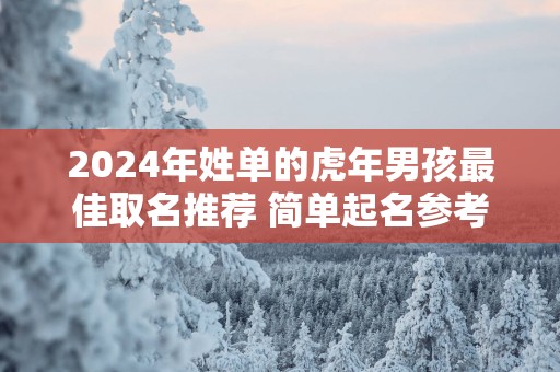 2025年姓单的蛇年男孩最佳取名推荐 简单起名参考