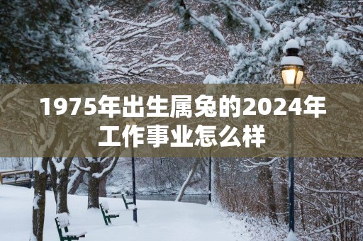 1975年出生属兔的2025年工作事业怎么样