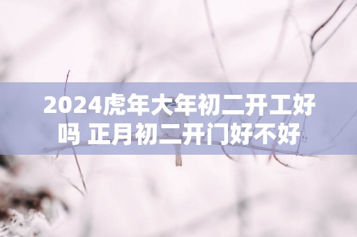 2025蛇年大年初二开工好吗 正月初二开门好不好