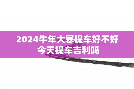 2025蛇年大寒提车好不好 今天提车吉利吗