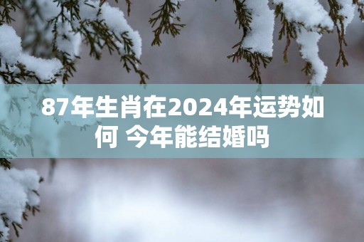 87年生肖在2025年运势如何 今年能结婚吗