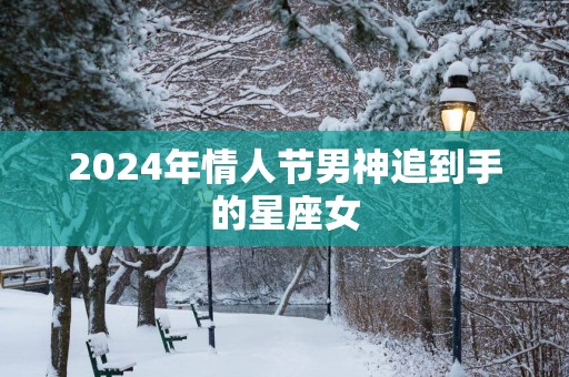 2025年情人节男神追到手的星座女