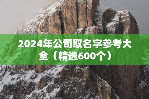 2025年公司取名字参考大全（精选600个）