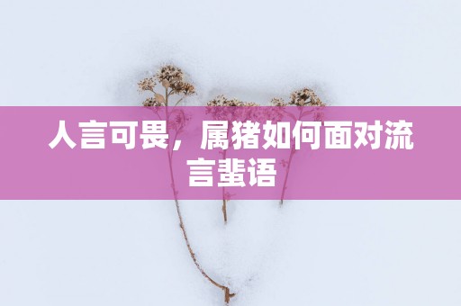 人言可畏，属猪如何面对流言蜚语