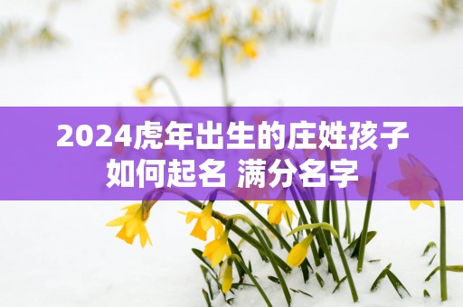 2025蛇年出生的庄姓孩子如何起名 满分名字
