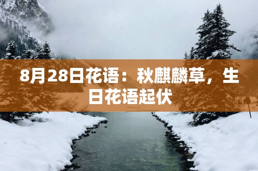 8月28日花语：秋麒麟草，生日花语起伏